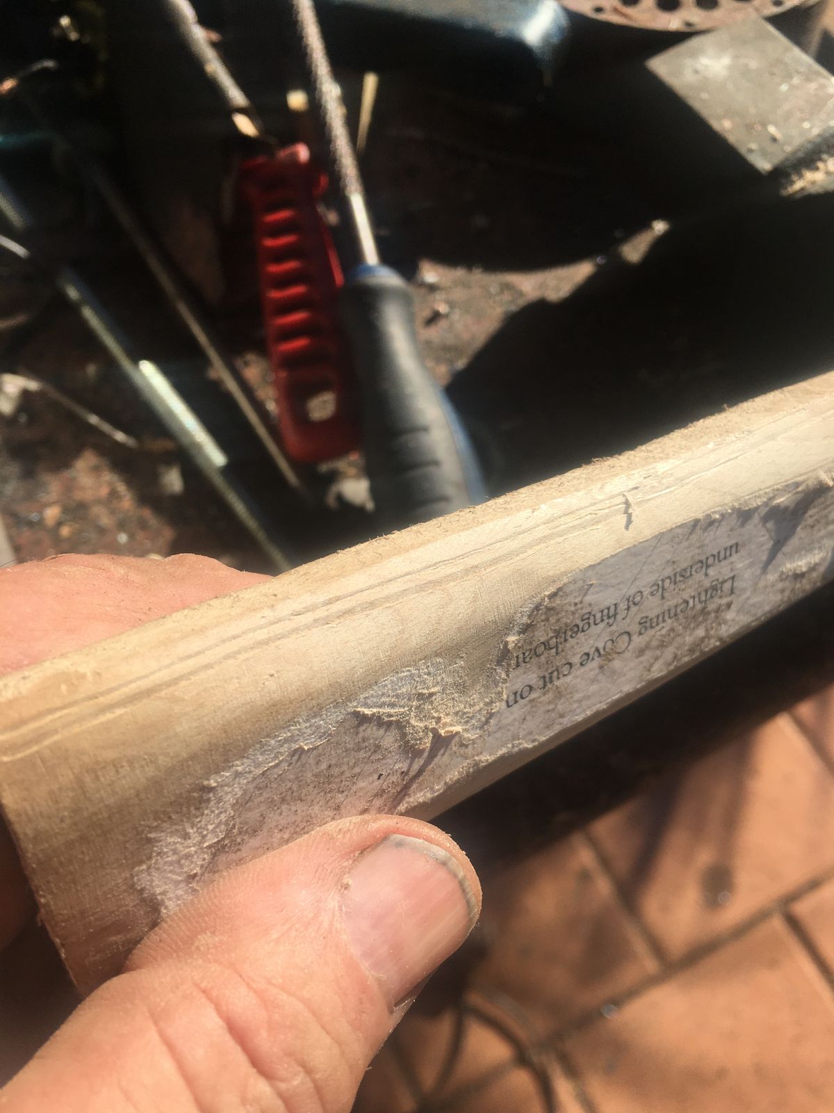 WhatsApp Image 2025-04-27 at 23.11.07.jpeg